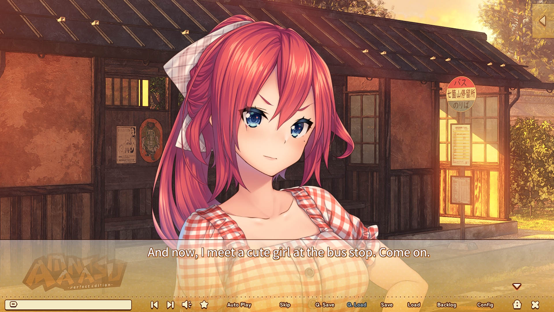 18+ DLC - AMANATSU ~Perfect Edition~ (Patch for Steam)  - Visual Novel - 1